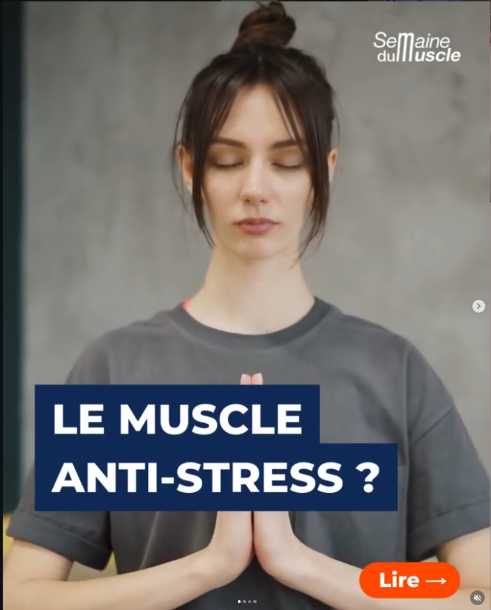 Couverture Carrousel